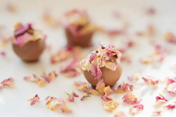 Kasyno Chilli Spins Aplikacja Android/iOS